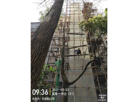舊樓加裝電梯的利弊有哪些